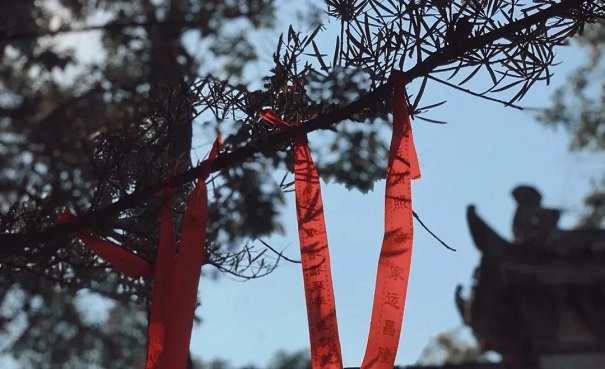Simulation tree.jpg Simulation tree.jpg